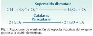 gualchos3